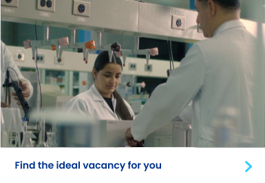 Formación y desarrollo profesional