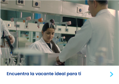 Formación y desarrollo profesional